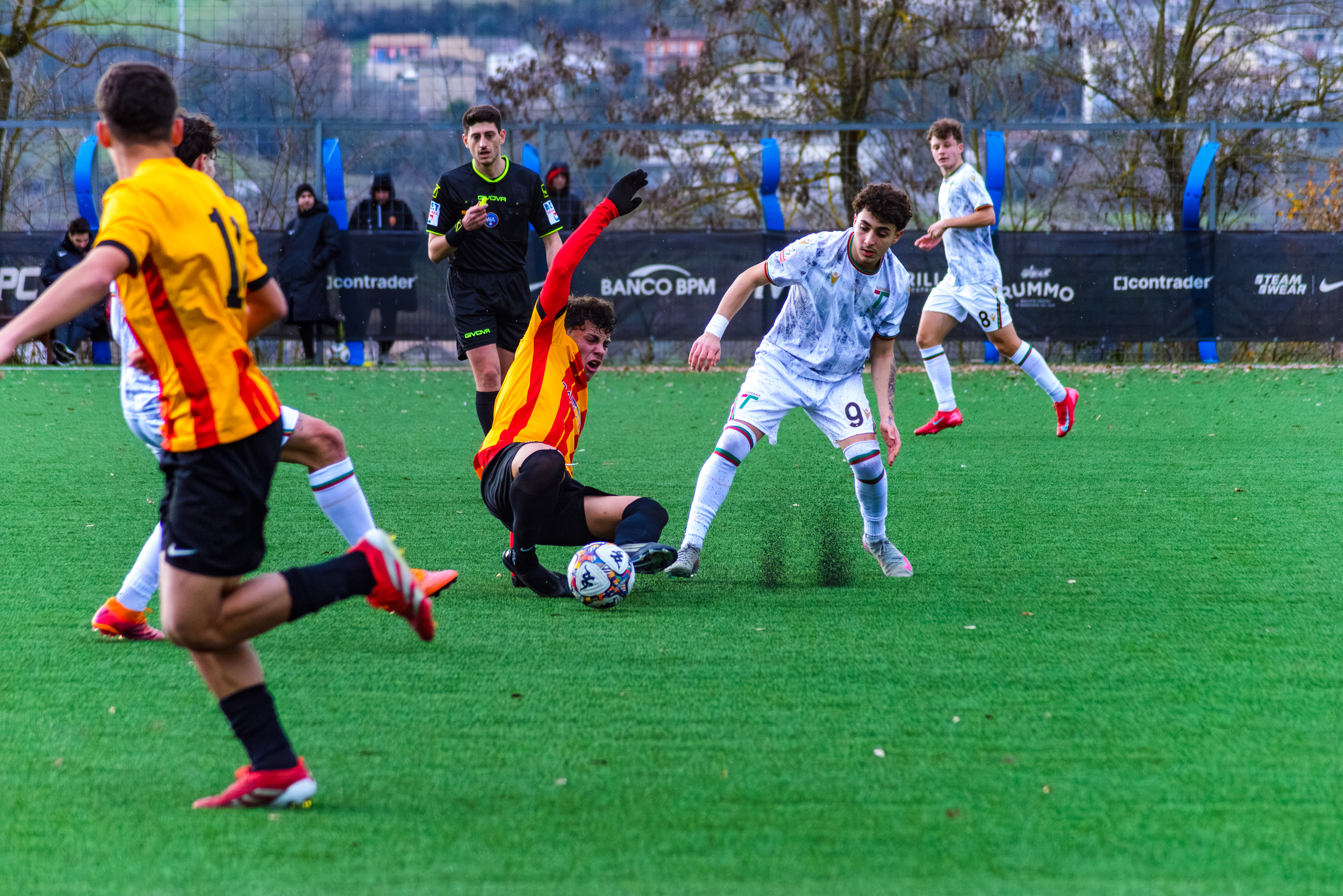 Sport